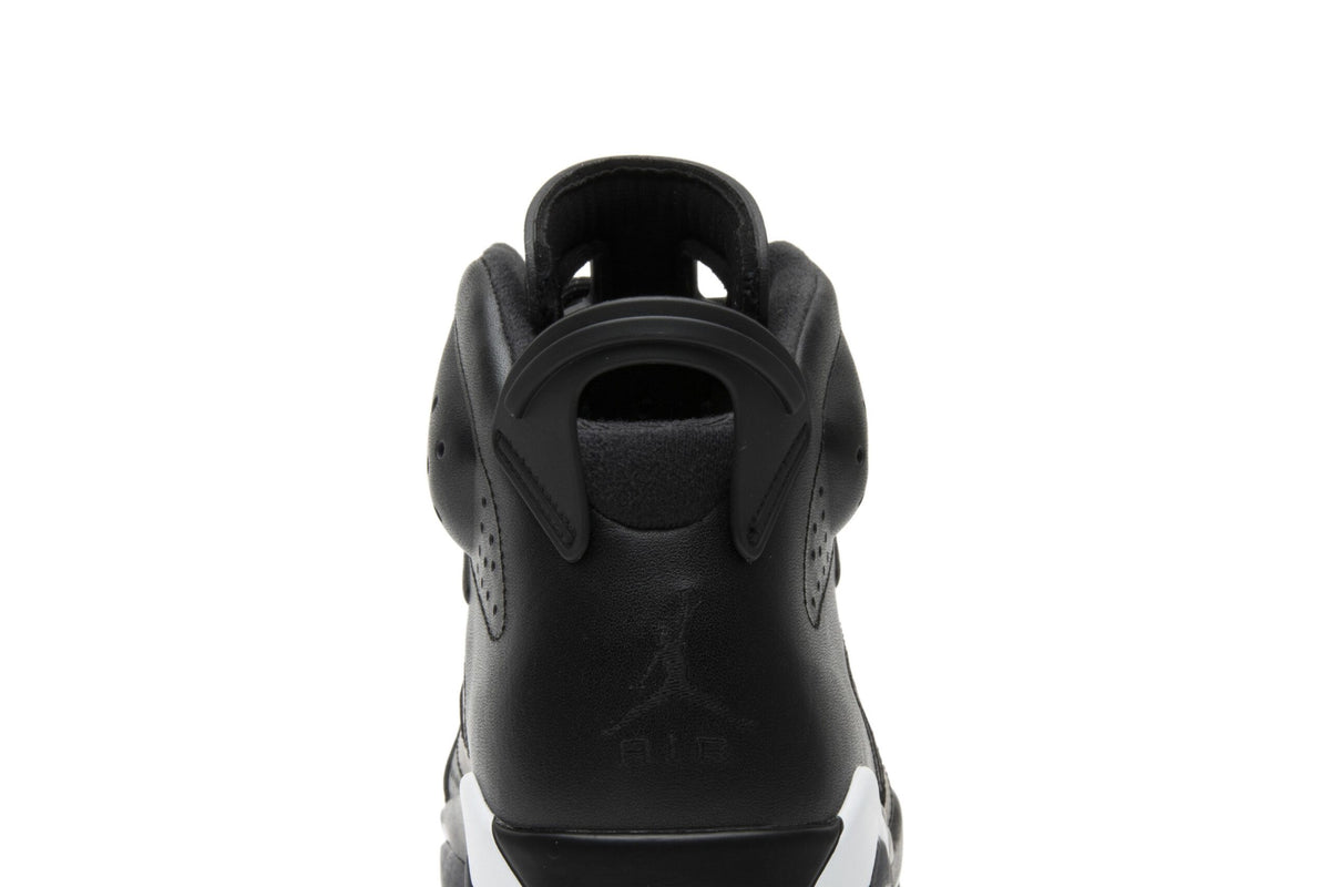 Air Jordan 6 Retro Black Cat 384664-020